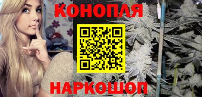 сатива Краснодар