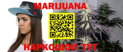 сатива Краснодар